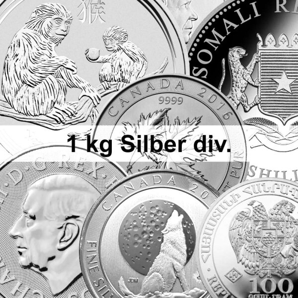 1000 Gramm Silber Münze