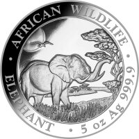 Somalia Elefant 2019 5 oz Silber