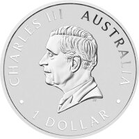 Australien Brumby 5. Ausgabe 2024 1 oz Silber | Wildpferd