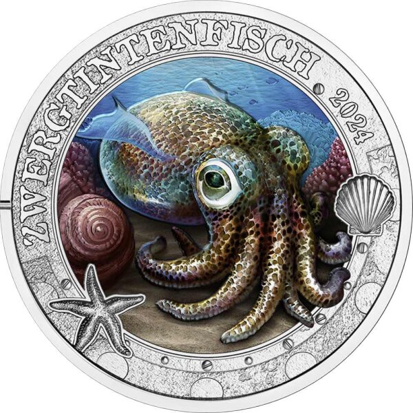 Österreich Leuchtende Meereswelten 3 Euro 2024 Zwergtintenfisch