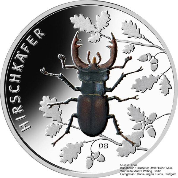 Deutschland 5 Euro Wunderwelt Insekten 8. Ausgabe 2024 Hirschkäfer D