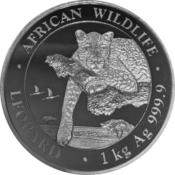 Somalia Leopard 2020 1000 Gramm Silber - mit Black Ruthenium & Platin veredelt
