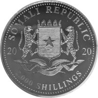 Somalia Leopard 2020 1000 Gramm Silber - mit Black Ruthenium & Platin veredelt