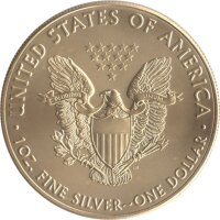 USA American Eagle 2020 1 oz Silber - coloriert und teilvergoldet