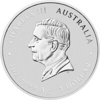Australien Drachenserie 2024 Four Guardians 1 oz Silber | Coloriert I