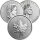 Kanada Maple Leaf div. 1 oz Silber regelbesteuert