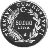 Türkei 50.000 Lira 1993 - XV. Fußball WM 1994 in USA - Silber PP