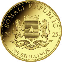 Somalia Elefant 2025 1/2 oz Gold