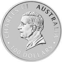 Australien Känguru 2025 1 oz Platin