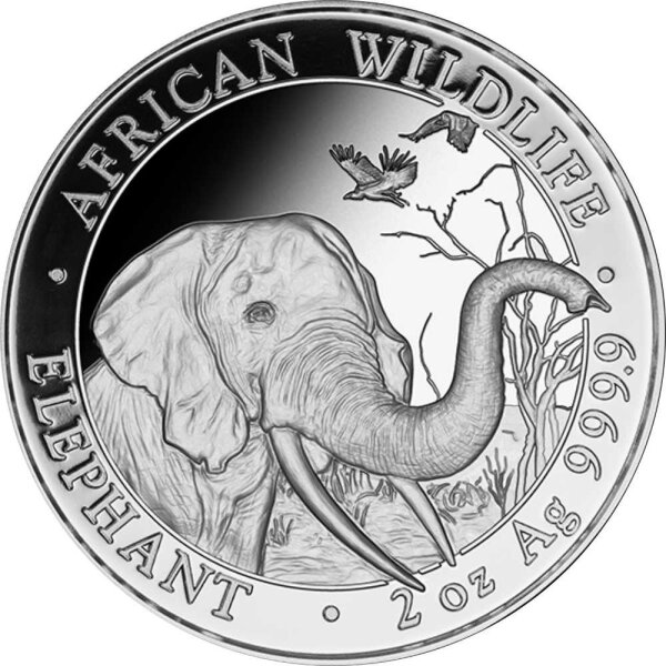 Somalia Elefant 2018 2 oz Silber