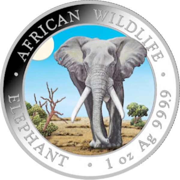 Somalia Elefant 2025 1 oz Silber - Farbapplikation