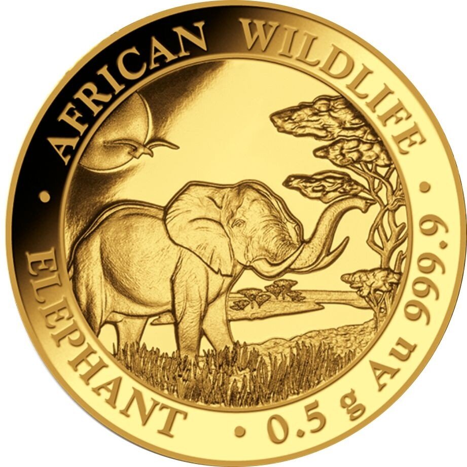 Somalia Elefant 2019 0,5 Gramm Gold