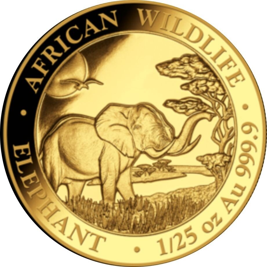 Somalia Elefant 2019 1/25 oz Gold