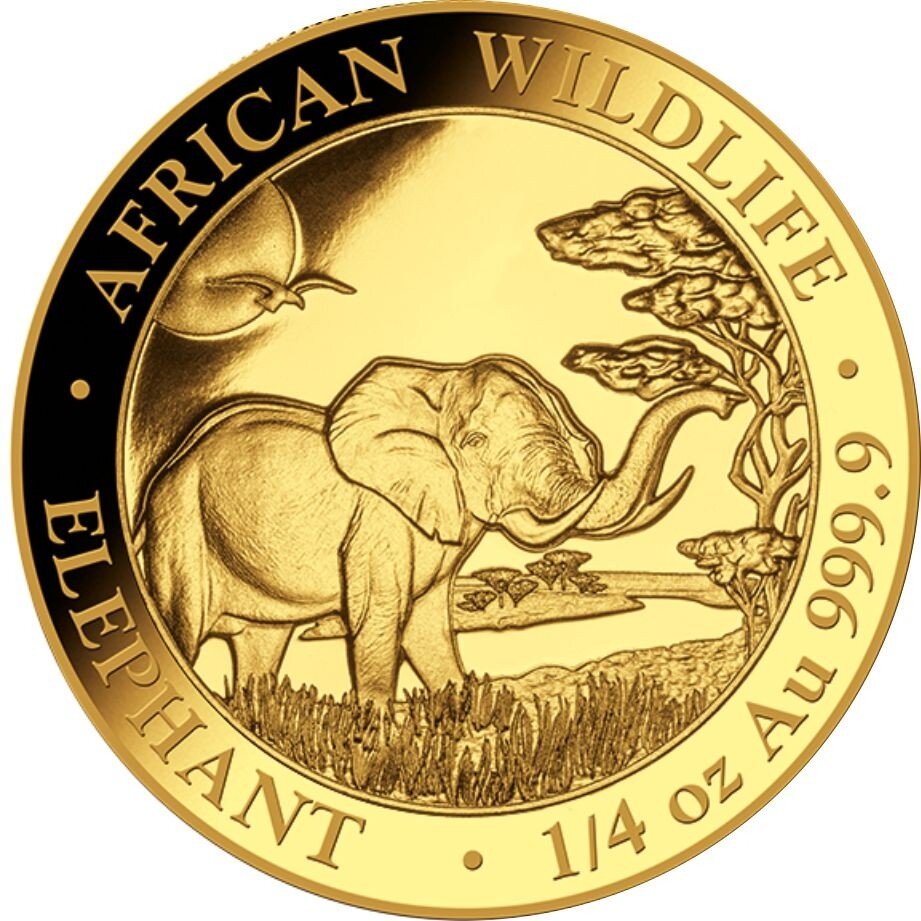 Somalia Elefant 2019 1/4 oz Gold
