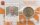 Vatikan 50 Cent 2016 - Franziskus - Coincard mit Briefmarke Nr.12