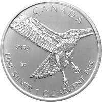 Kanada Birds of Prey 2015 Rotschwanzbussard 1 oz Silber