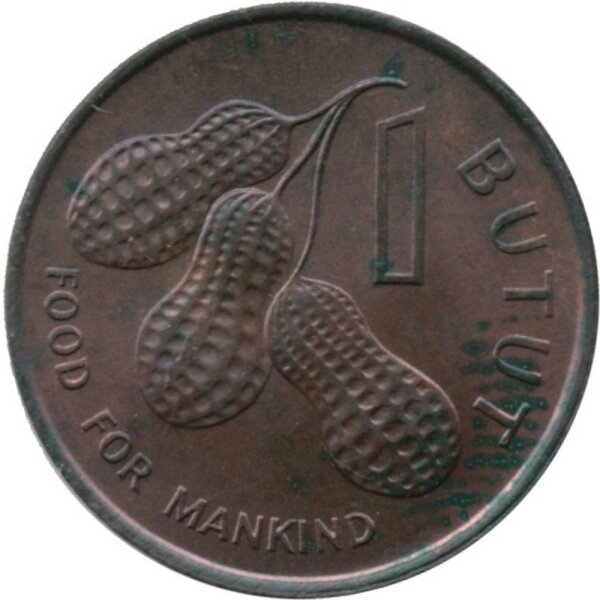 Gambia 1 Butut 1974 - F.A.O. Erdnüsse - Bronze