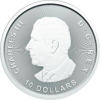 Kanada Bulle & Bär 2025 2 oz Silber | Bull & Bear