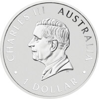 Australien Emu 2025 1 oz Silber | Coloriert