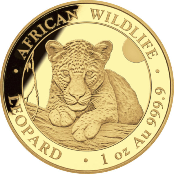 Somalia Leopard 2025 1 oz Gold