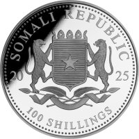 Somalia Leopard 2025 1 oz Silber