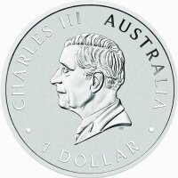 Australien Schwan 2025 1 oz Silber