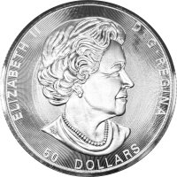 Kanada Lebensbaum 2017 10 oz Silber