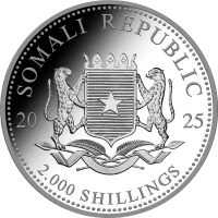 Somalia Leopard 2025 1000 Gramm Silber