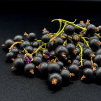 Ohrringe "Beerengold" 333/1000 Gold - Vintage