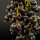 Ohrrihge "Beerengold" 333/1000 Gold - Vintage