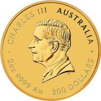 Australien Lunar III 2026 Jahr des Perdes 1/20 oz Gold