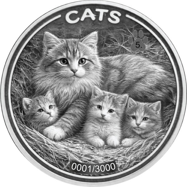 Fiji CATS 5. Ausgabe 2026 1 oz Silber | Prooflike - Originalfolie