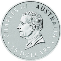 Australien Kookaburra 2026 1/10 oz Platin