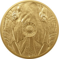 Südafrika Big Five Elefant div. 1 oz Gold