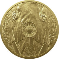Südafrika Big Five Elefant div. 1 oz Gold