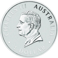 Australien Schwan 2026 1 oz Silber