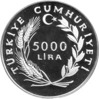 Türkei 5.000 Lira 1984 - XXIII. Olympische Sommerspiele 1984 in Los Angeles "Sportarten und Olympisches Feuer" - Silber PP