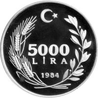 Türkei 5.000 Lira 1984 - UNO-Dekade der Frau - Silber PP