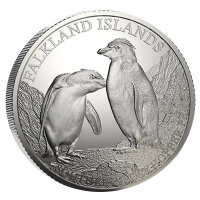 Falkland Inseln King Penguin 2026 1 oz Silber