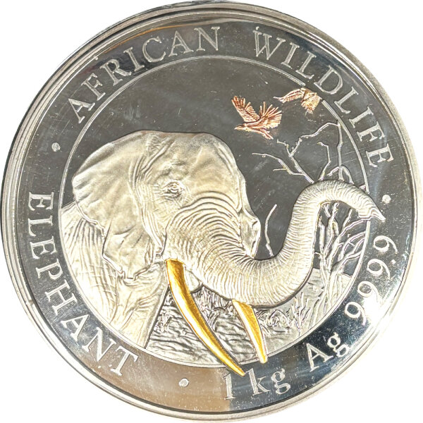 Somalia Elefant 2018 1000 Gramm Silber - Golden Enigma Edition
