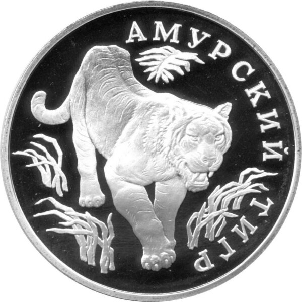 Russland 1 Rubel 1993 - Rote Liste "Amurtiger" - 1/2 oz Silber PP