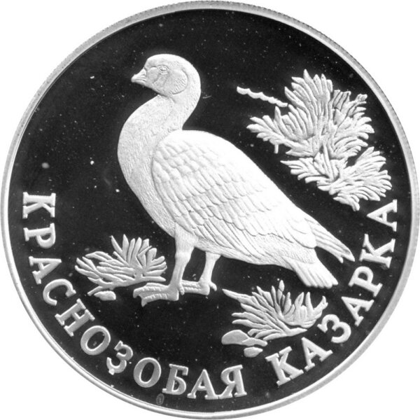 Russland 1 Rubel 1994 - Rote Liste "Rothalsgans" - 1/2 oz Silber PP