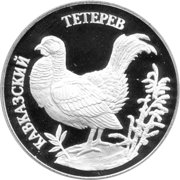 Russland 1 Rubel 1995 - Rote Liste "Kaukasus-Birkhuhn" - 1/2 oz Silber PP