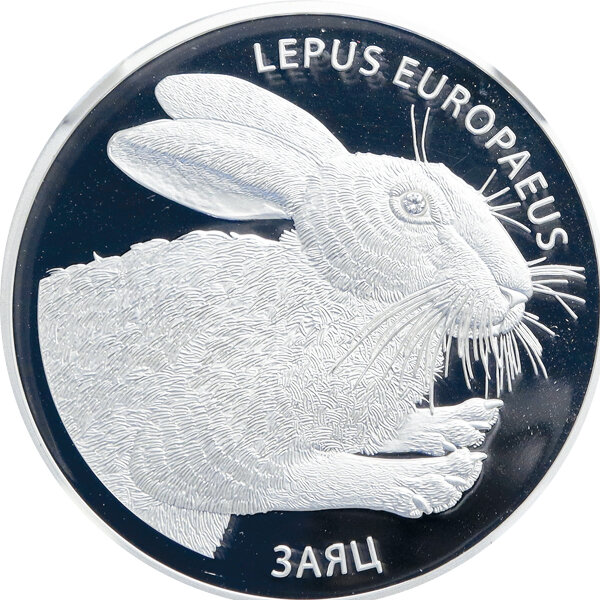 Weißrussland 20 Rubel 2014 - Hase - Silber PP
