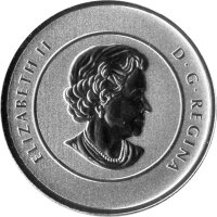 Kanada 20 Dollars 2012 - Eisbär - Silber