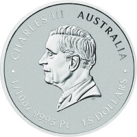 Australien Lunar III 2026 Jahr des Pferdes 1/10 oz Platin