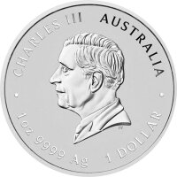Australien Chinese Myths and Legends 2026 Dragon and Horse 1 oz Silber | Chinesische Mythen und Legenden - Opalite coloriert