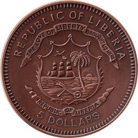Liberia 5 Dollars 2006 - XVIII. Fußball-WM 2006 in Deutschland "Spieler vor Landkarte" - Bronze verkupfert