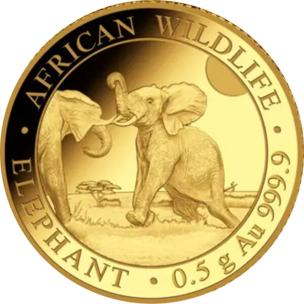 Somalia Elefant 2024 0,5 Gramm Gold