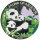 Nordkorea 2 Won 2010 - Panda Farbmünze - Silber PP